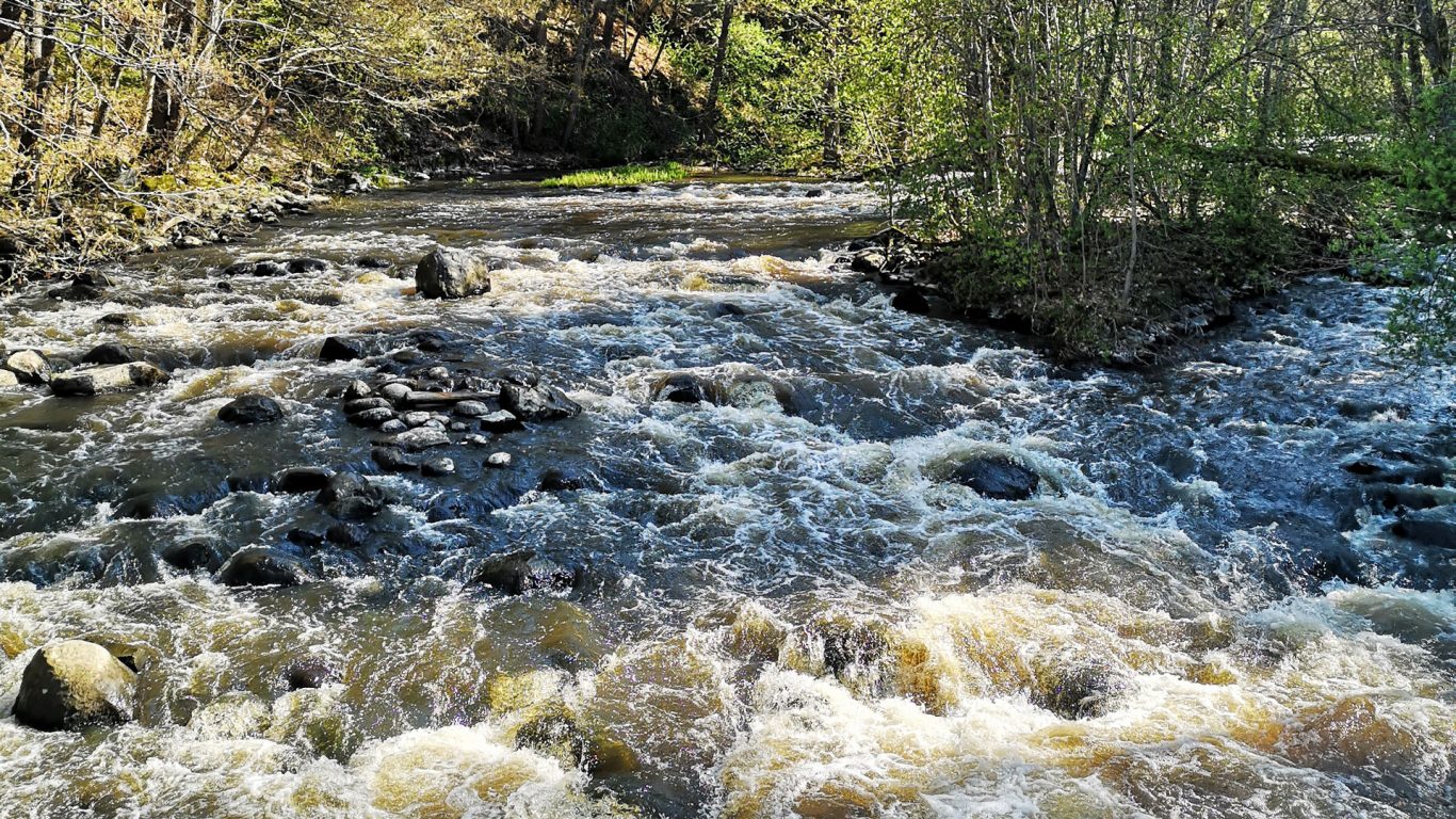 Latokartanonkosken kuohuntaa