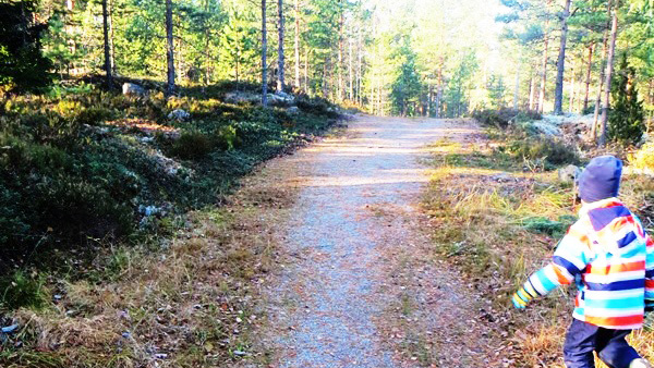 Märynummen retkeilyreitti