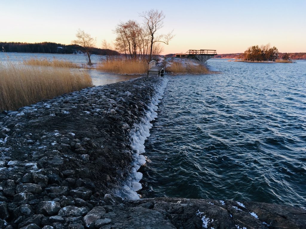 A rocky beach, a pier or a diving platform.