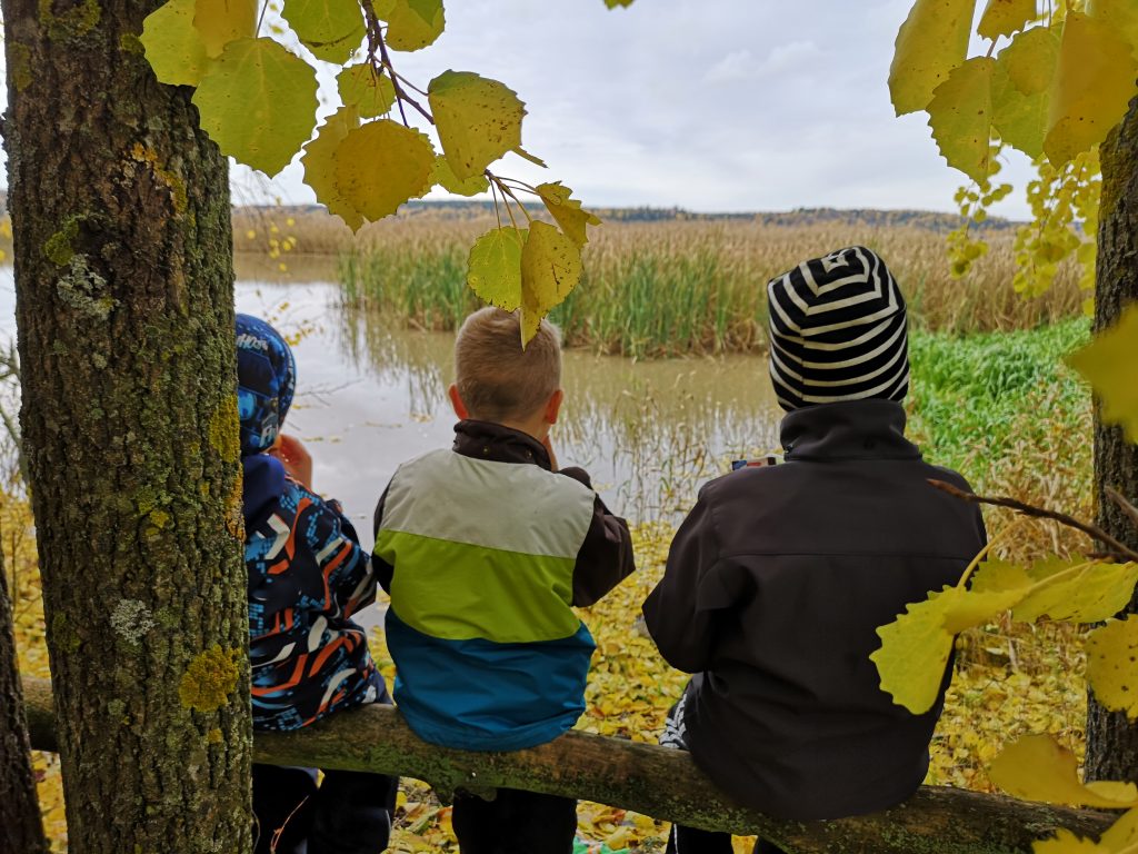 Kolme poikaa syö eväitä esteettömän polun varrella.