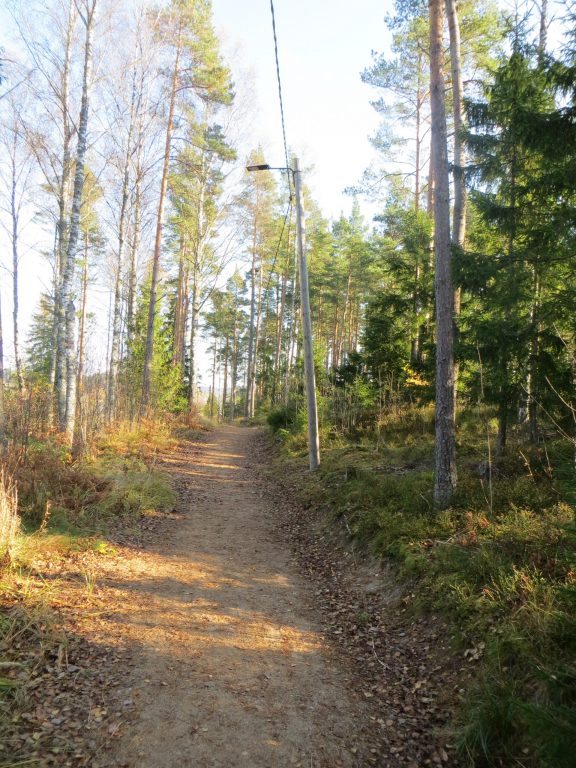 Mustamäen kuntoradalta syksyinen kuva