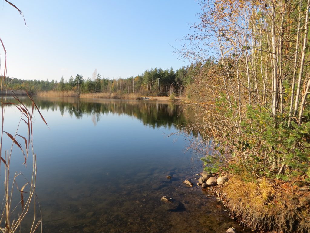 Märynummen lammelle näkymä kuntoradalta