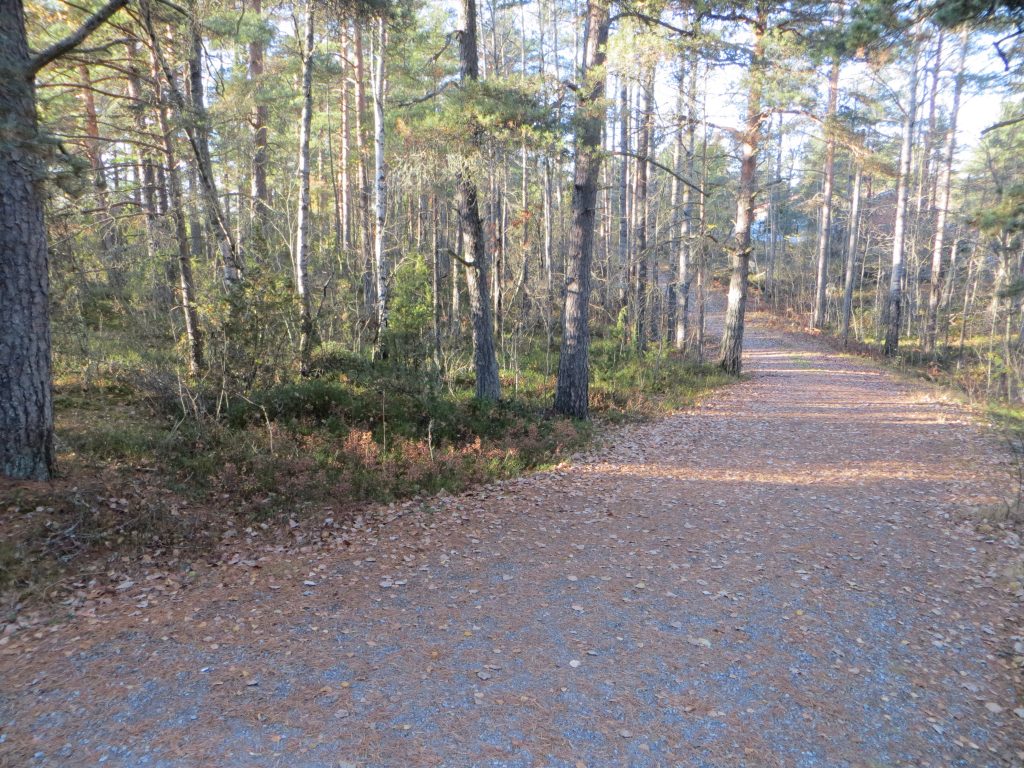 Kärävuoren kuntorata syksyllä kuvattu