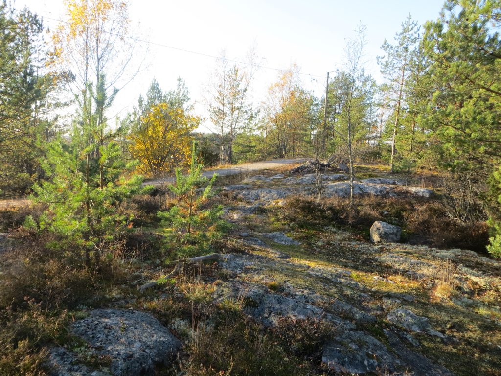 Kärävuoren kuntoradan vieressä kaunis kallio