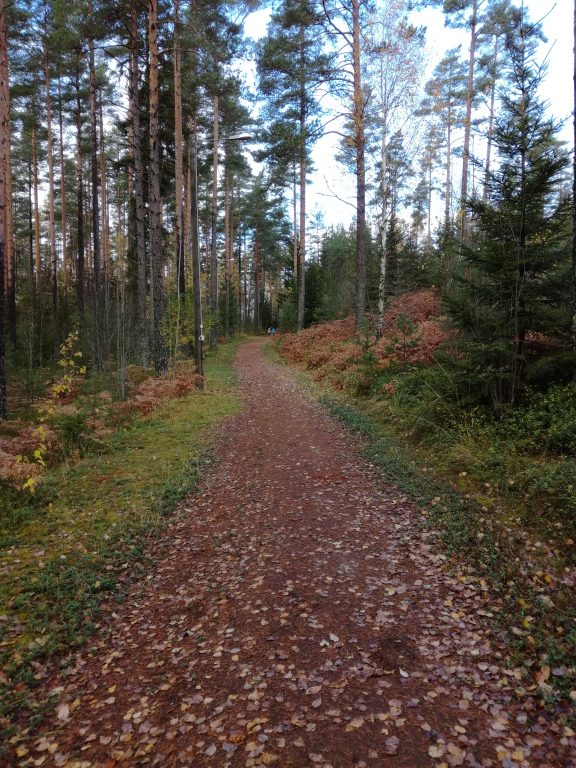 Muurlan kuntoradasta kuvaa