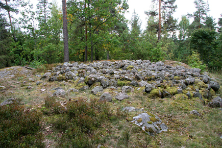 Koivumäen muinaispolun hautaröykkiö