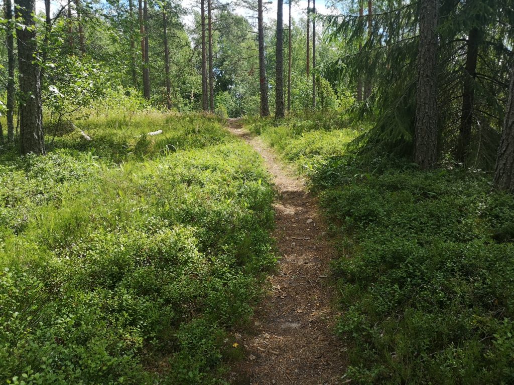 Retkeilyreitti Salo-Lehmijärvi-Kirjakkala (Teijon kansallispuisto) - Salon  Kohteet