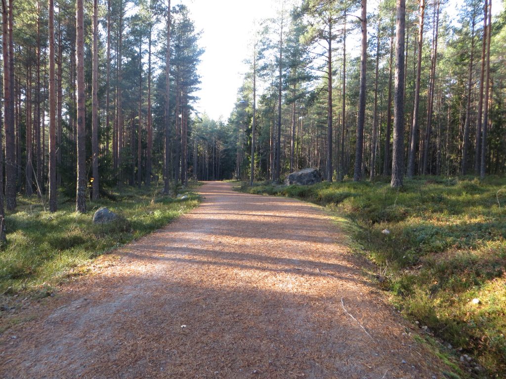 Isohärjänmäen kuntoradasta kuva