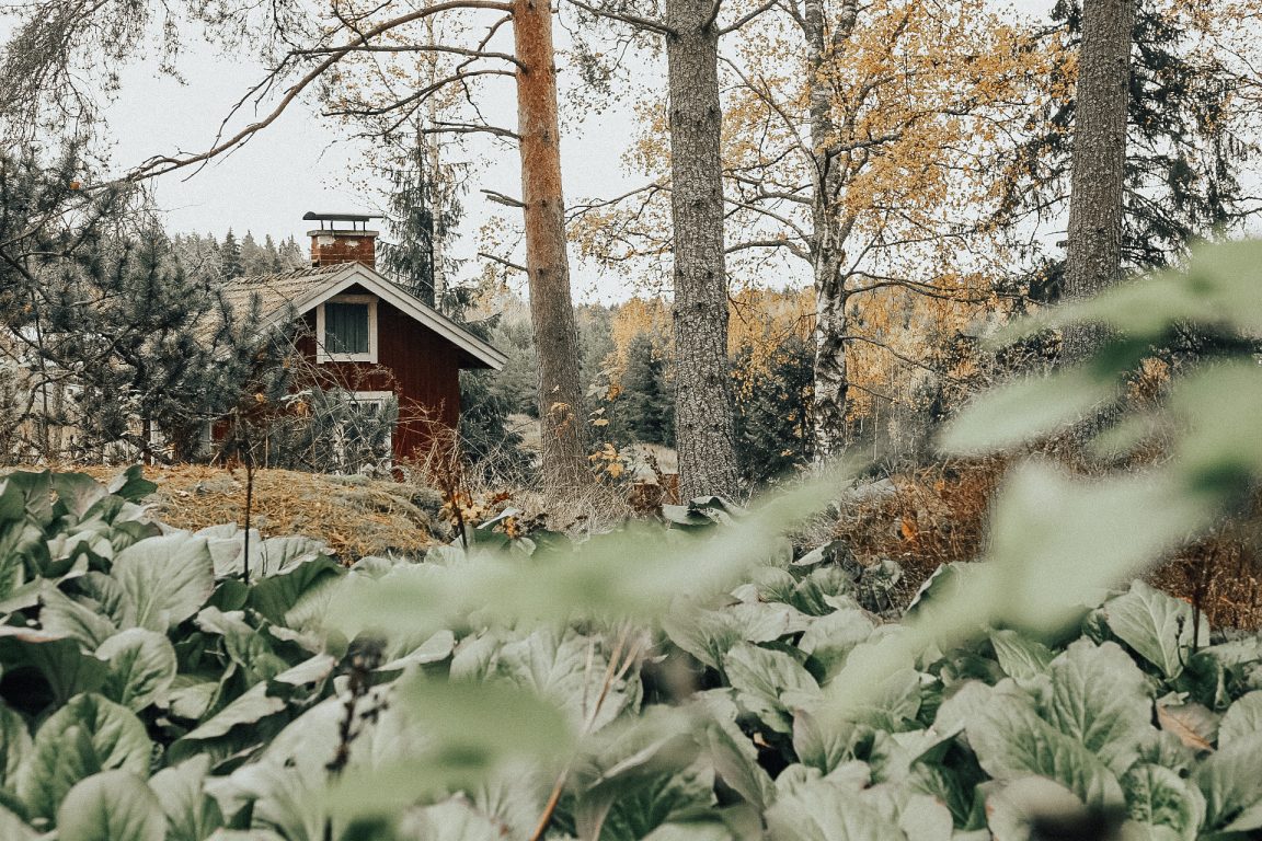 Kullanpuu Farm and the green outdoors.