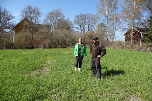 Voimapavun isäntä ja emäntä