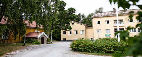 Muurlan Opiston päärakennus ja pihapiiriä